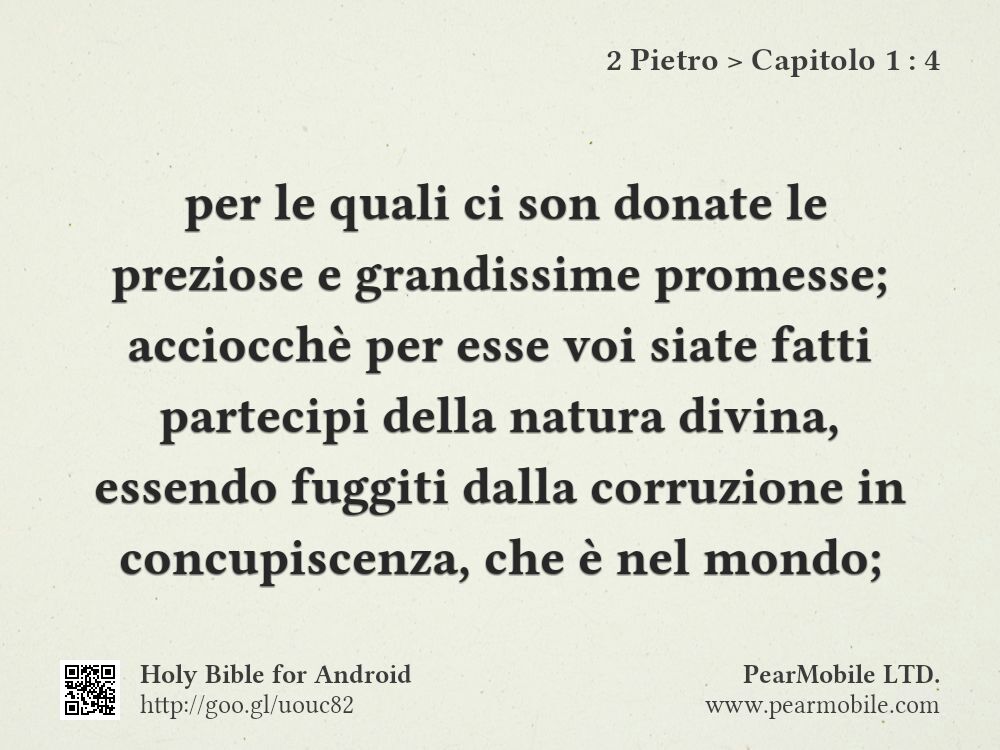 2 Pietro, Capitolo 1:4